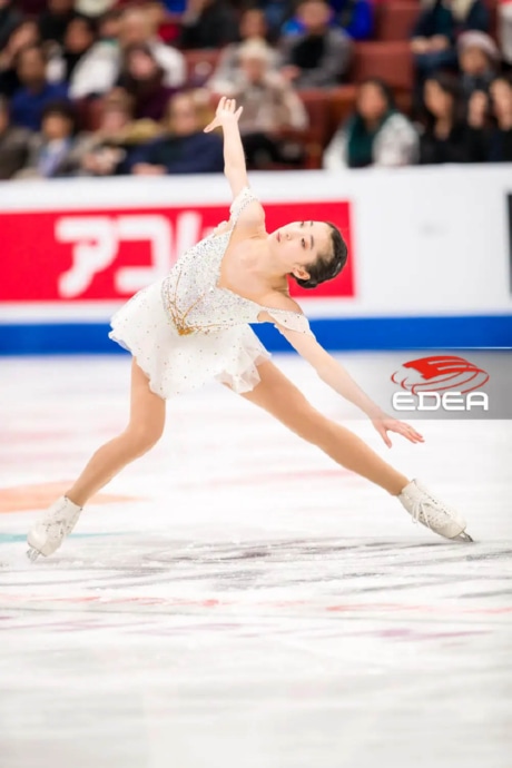 Ice Gallery Skates U.S.